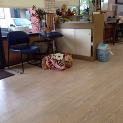 Jenny's Nail & Hair Salon - Such a cute dog!