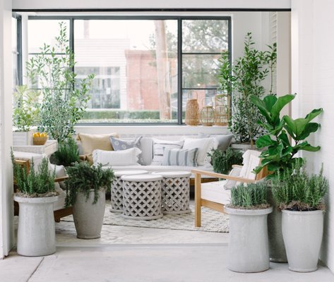 Serena & Lily Atlanta by null