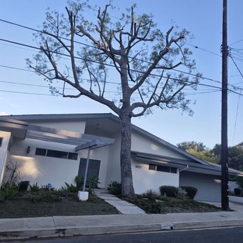 Hernandez Tree Services - Tree Services Near Me