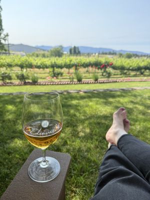 Edenvale Winery by null