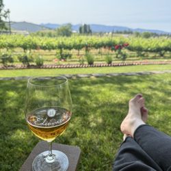 Edenvale Winery - Vibez