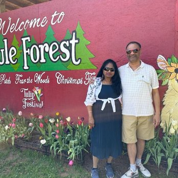 Yule Forest - Kids Activities Near Me - Stockbridge, Georgia