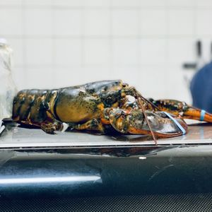 Namhoa Fish Market on Yelp