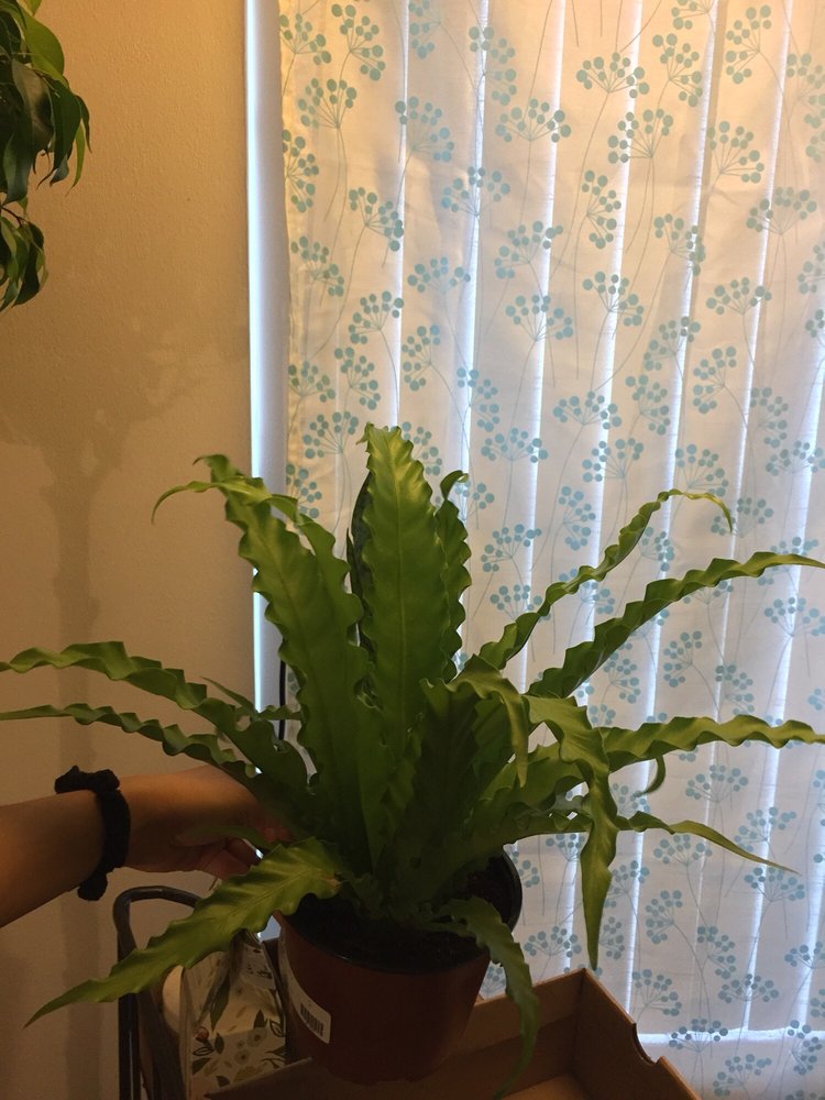 PALMER’S GARDEN & GOODS 134 Photos & 67 Reviews Nurseries