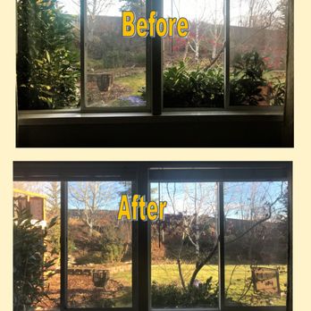 Homemaid by the Mornings - Trees trimmed enhancing the view! - Home Cleaning Near Me - Pullman, Washington Homemaid by the Mornings - Trees trimmed enhancing the view! - Home Cleaning Near Me - Pullman, Washington