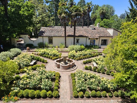 Cafe Wisteria by null