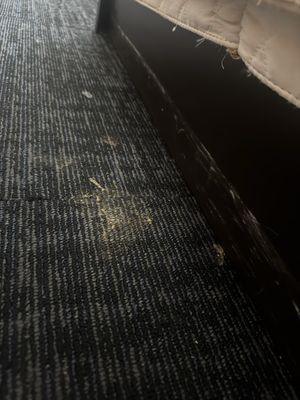 Ohia Waikiki Studio Suites by null