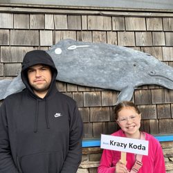 Whale Research Eco Excursions