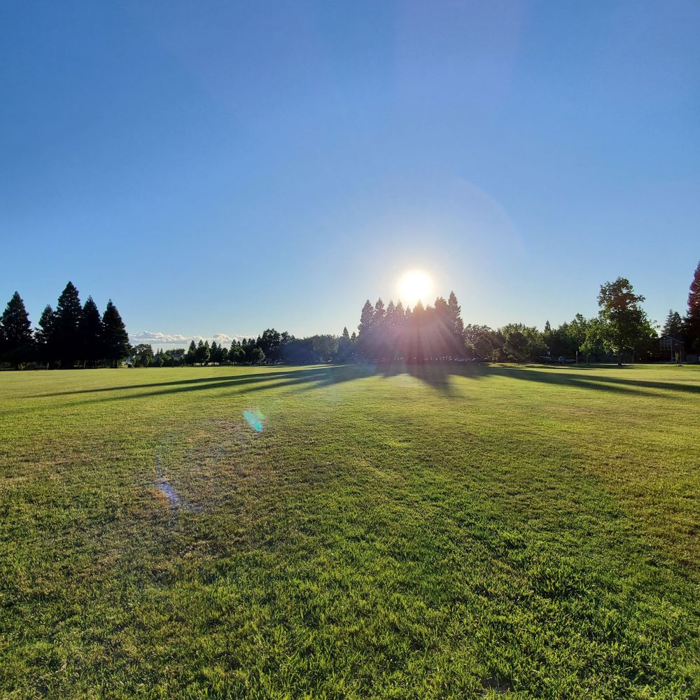 Kaseberg Park - Sun setting over the trees - Parks Near Me - Roseville, California