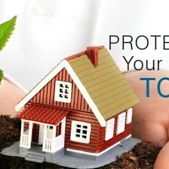 Avenue Insurance Services - Protect your home - Auto Insurance Near Me - El Monte, California Avenue Insurance Services - Protect your home - Auto Insurance Near Me - El Monte, California