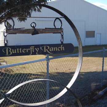 Butterfly Ranch Stable - 90x70 indoor arena-5 stall barn turn out daily hay grain salt in winter pasture turn out in the sumer total care - Horse Boarding Near Me - Selah, Washington Butterfly Ranch Stable - 90x70 indoor arena-5 stall barn turn out daily hay grain salt in winter pasture turn out in the sumer total care - Horse Boarding Near Me - Selah, Washington