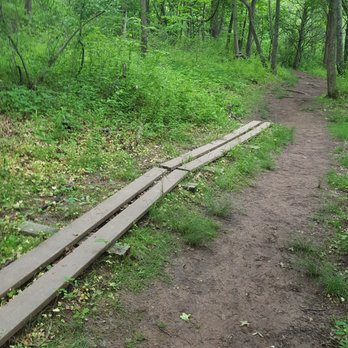 Evansburg State Park - Boardwalk around the mud - Parks Near Me - Collegeville, Pennsylvania