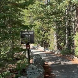 Artist Point - Lower Falls Yellowstone's Grand Canyon Wonder | Rees's Roots
