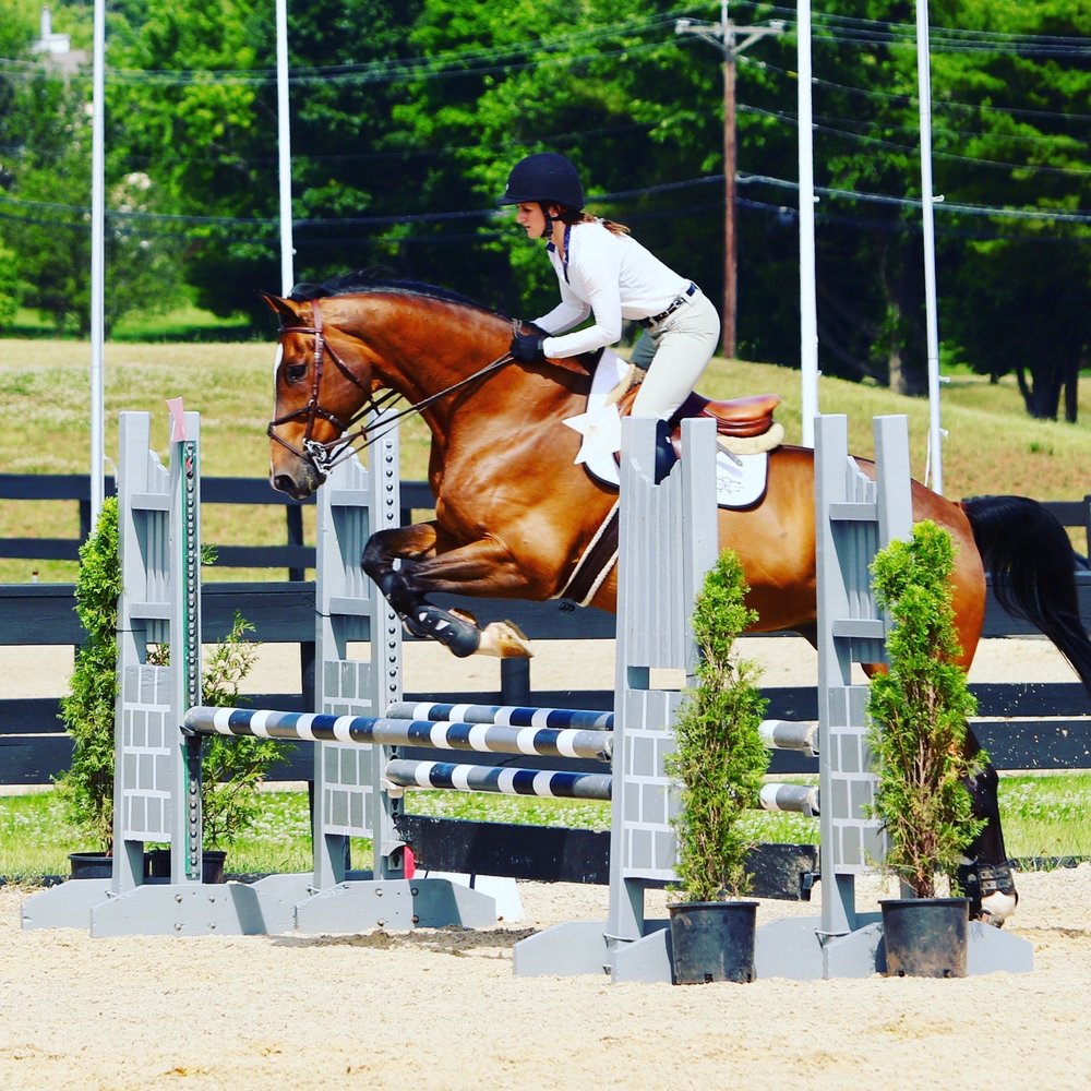 CHESTER RIDING CLUB Updated September 2024 80 US Hwy 206, Chester