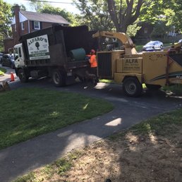 Truck and Tree grinder. Truck and Tree grinder.