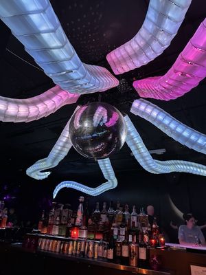 Discopussy by null