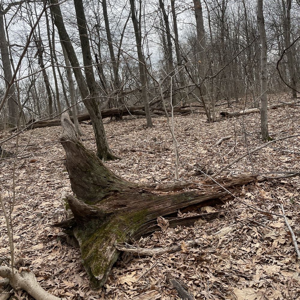 South Mountain Reservation - Hiking Near Me - Short Hills, New Jersey South Mountain Reservation - Hiking Near Me - Short Hills, New Jersey
