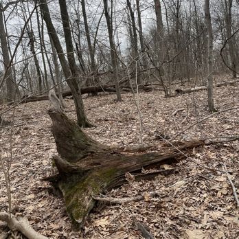 South Mountain Reservation - Hiking Near Me - Short Hills, New Jersey South Mountain Reservation - Hiking Near Me - Short Hills, New Jersey