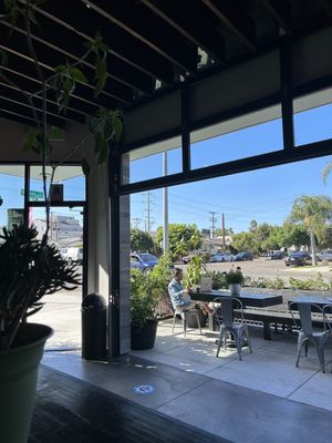 MOE COFFEE-NORTH PARK by null