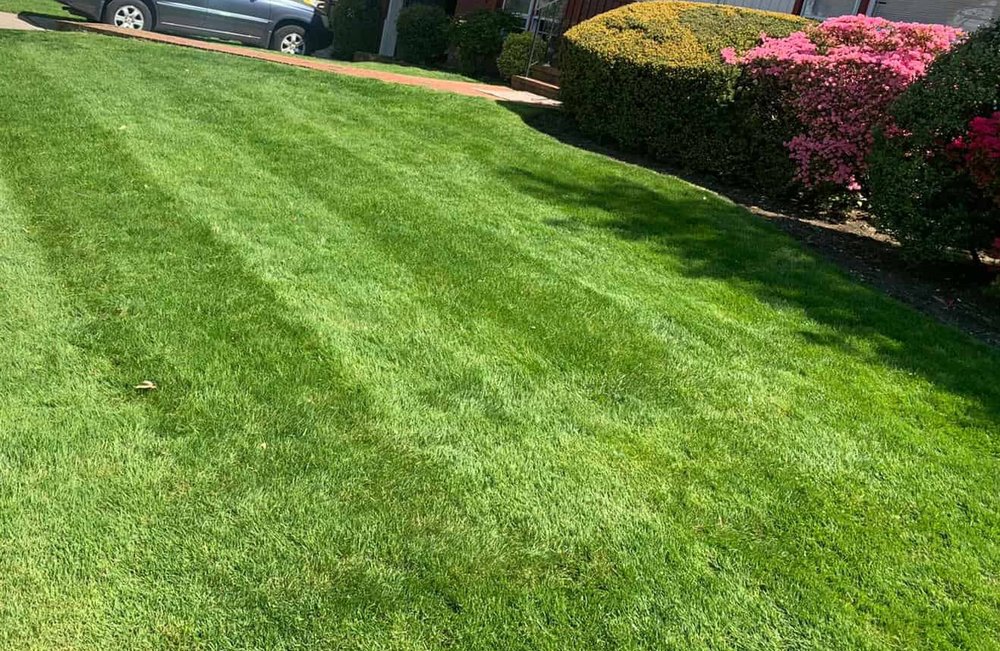 QUINN’S LAWN&LANDSCAPING Updated October 2024 Request a Quote