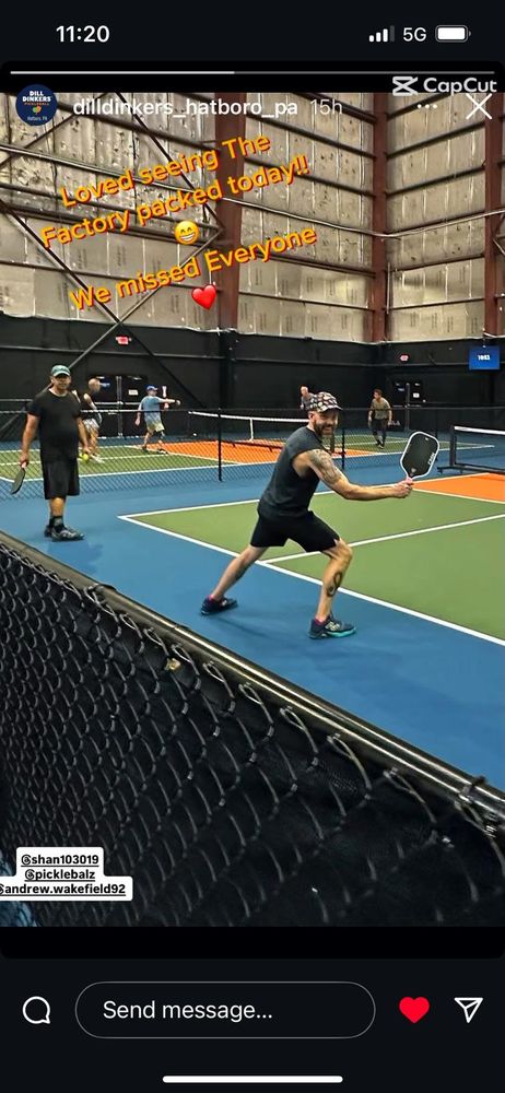 Dill Dinkers Pickleball Logo