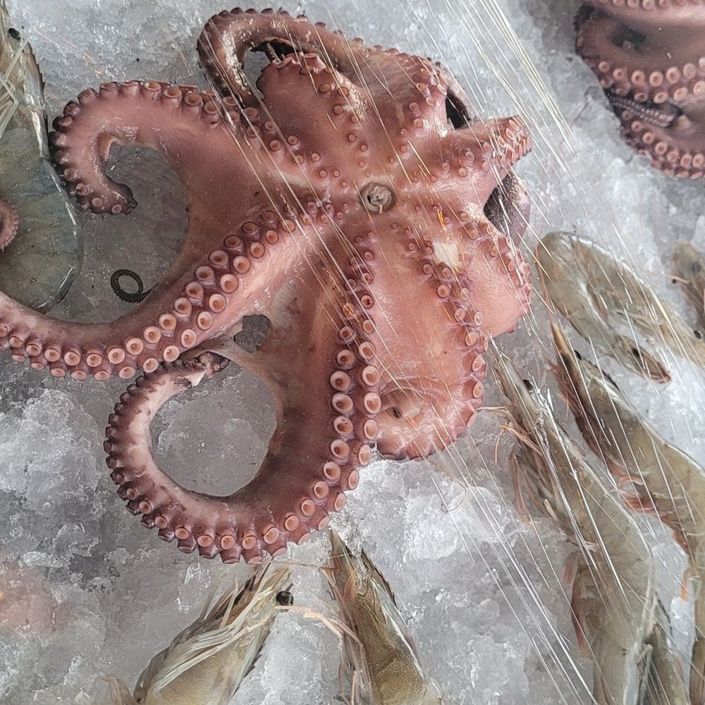 El Muchacho Alegre - Seafood Near Me - Tijuana, BCN