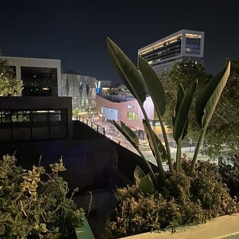 Darling Aviary - Bars Near Me - Sacramento, California