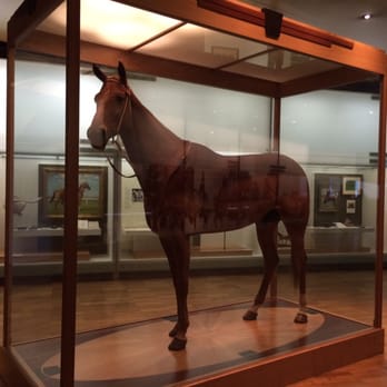 Melbourne Museum - The coveted Phar Lap. - Museums Near Me - Melbourne, VIC Melbourne Museum - The coveted Phar Lap. - Museums Near Me - Melbourne, VIC