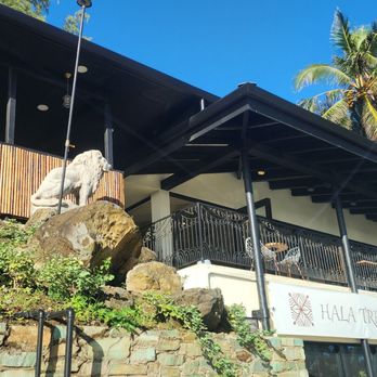 Hala Tree Cafe - Front - Coffee & Tea Near Me - Kaaawa, Hawaii Hala Tree Cafe - Front - Coffee & Tea Near Me - Kaaawa, Hawaii