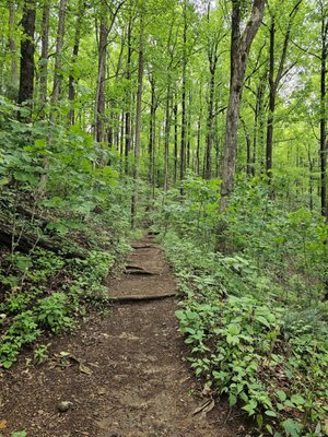 Caesars Head State Park by null