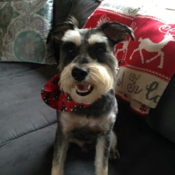 Brusarah Pet Grooming Salon - Pet Groomers Near Me - Mahopac, New York