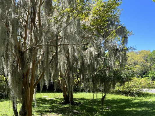 Charles Towne Landing State Historic Site by null