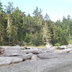 Third Lagoon Preserve - Abundant driftwood seating.