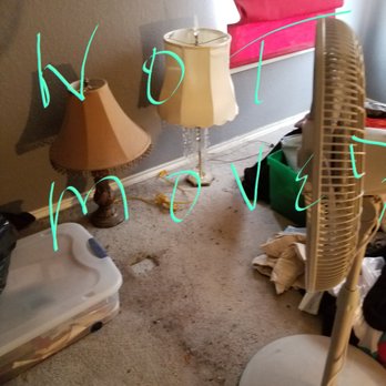 Step-By-Step Moving & Delivery - Movers Near Me - Frisco, Texas Step-By-Step Moving & Delivery - Movers Near Me - Frisco, Texas