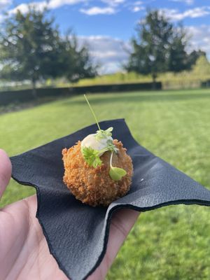 Pialligo Estate by null