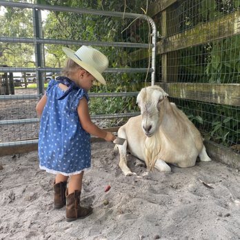 MM Equestrian Farm - Horseback Riding Near Me - North Miami, Florida MM Equestrian Farm - Horseback Riding Near Me - North Miami, Florida