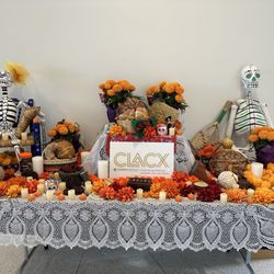 user provided Cheekwood photo