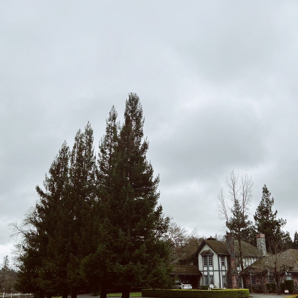 Outside Outside