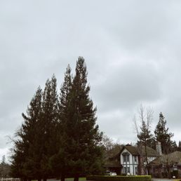 Outside