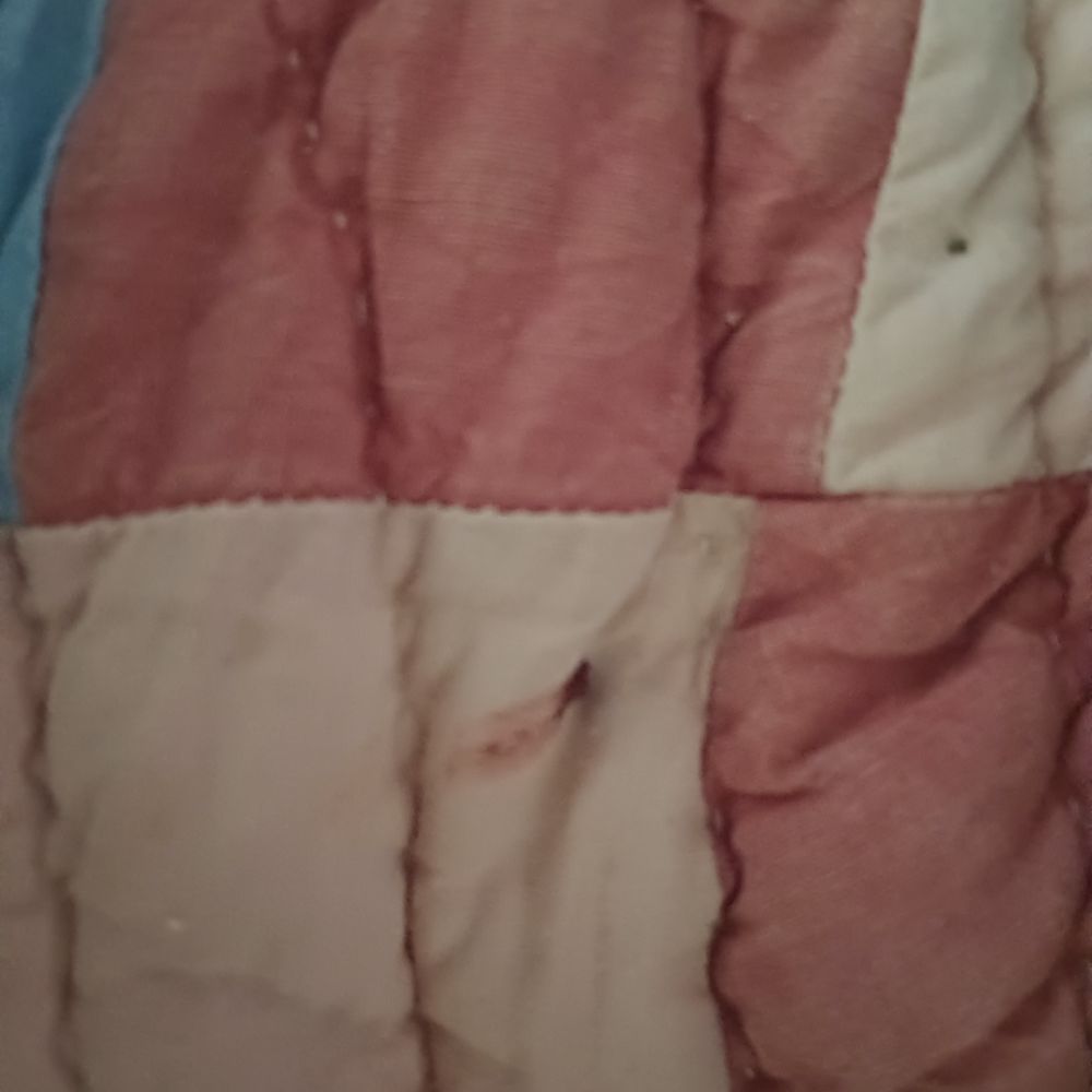 Goodwin Cleaning And Pest Control - More bed bugs - Pest Control Near Me