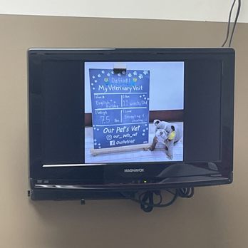 Our Pet's Vet - Veterinarians Near Me - Lake Forest, California Our Pet's Vet - Veterinarians Near Me - Lake Forest, California