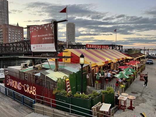The Barking Crab by null