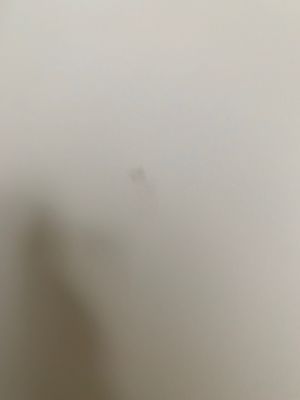 Coleman Worldwide Moving 715 Whitfield St Fayetteville Nc Furniture Movers Mapquest