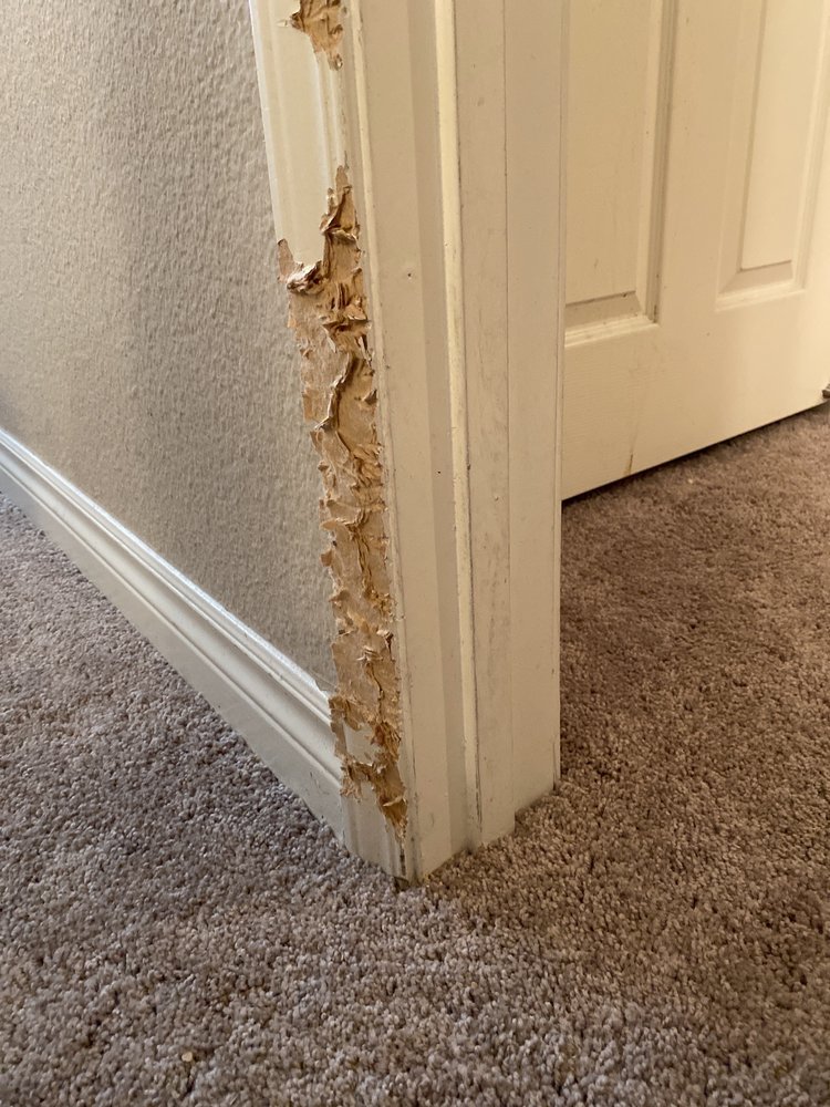 Slide of Trusted Handyman LV