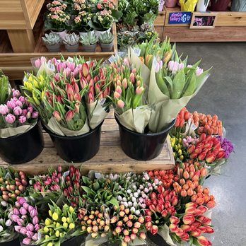 Trader Joe's - Grocery Near Me - Los Angeles, California