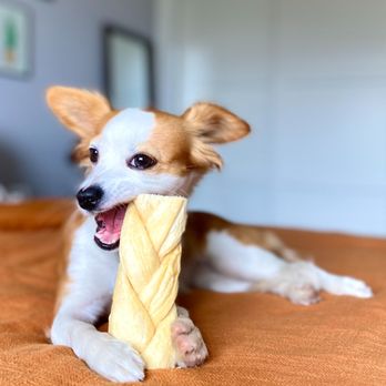 Pet-Vet Supply - Pet Stores Near Me - Oklahoma City, Oklahoma Pet-Vet Supply - Pet Stores Near Me - Oklahoma City, Oklahoma
