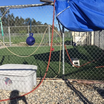Alan's Canine Training and Kennels - One of a few play areas - Pet Training Near Me - Vacaville, California