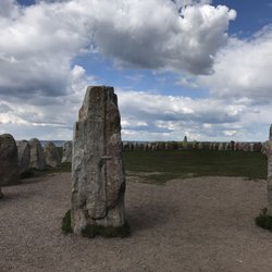 Ales Stenar - Incredible you can just walk right up and touch them