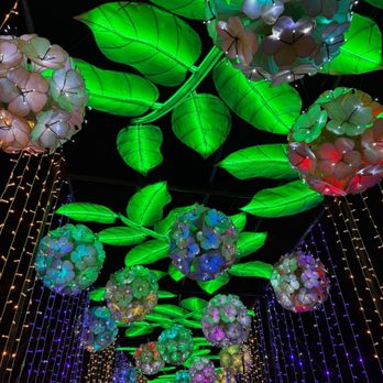 Houston Botanic Garden - Radiant Nature hydrangeas display - Venues & Event Spaces Near Me - Houston, Texas Houston Botanic Garden - Radiant Nature hydrangeas display - Venues & Event Spaces Near Me - Houston, Texas