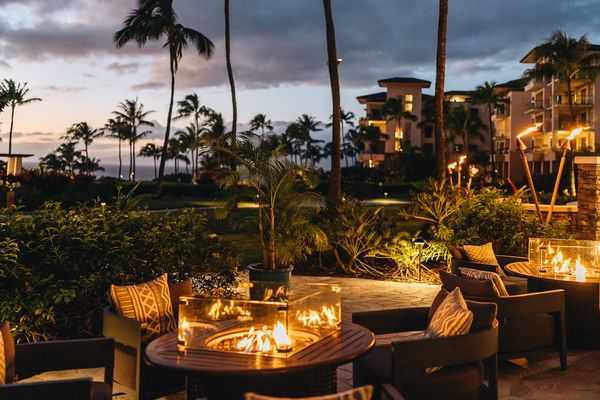 Cane & Canoe by null